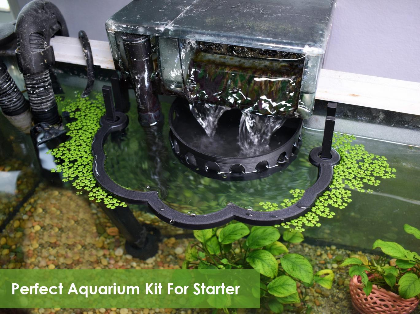 Healthier Nano Aquarium Ecosystem