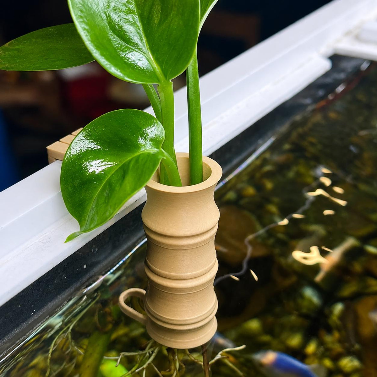 Bamboo Aquarium Pothos Holder