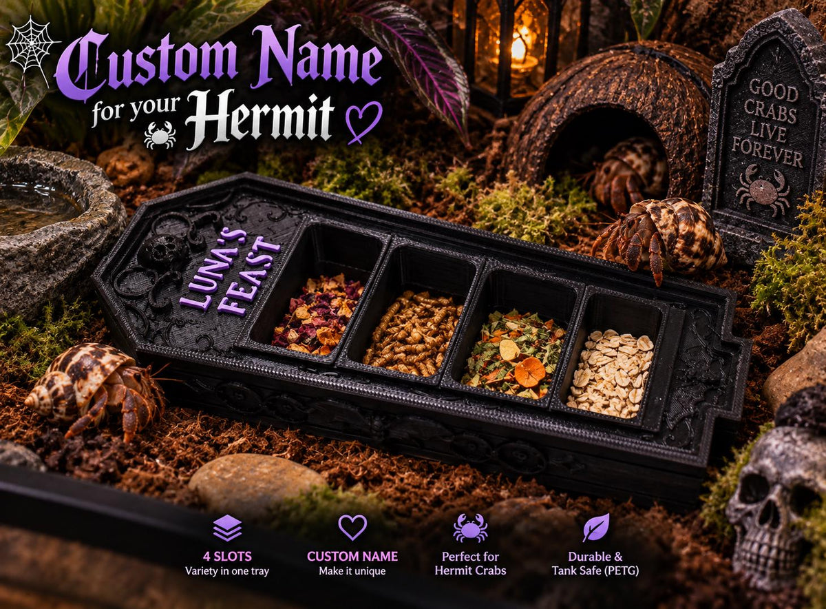 Gothic Hermit Crab Feeding Dish