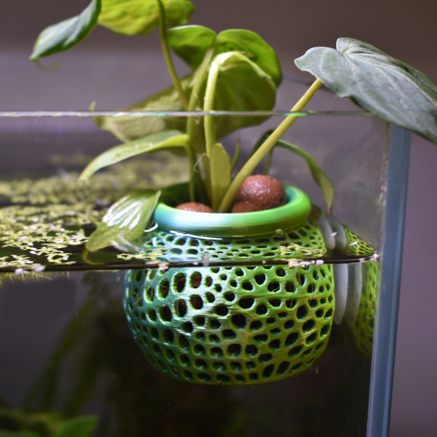 Aquarium Plant Pot Holder with Suction Cup