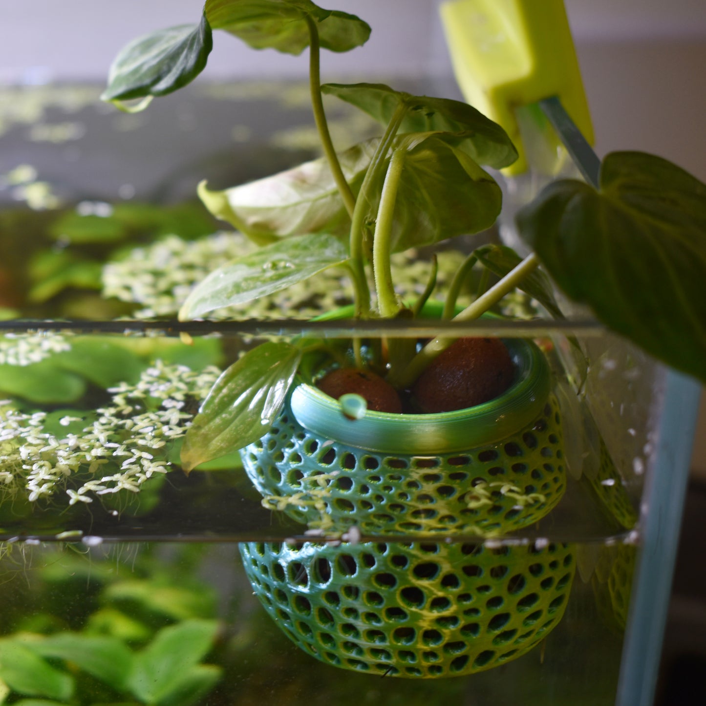 Aquarium Plant Pot Holder with Suction Cup