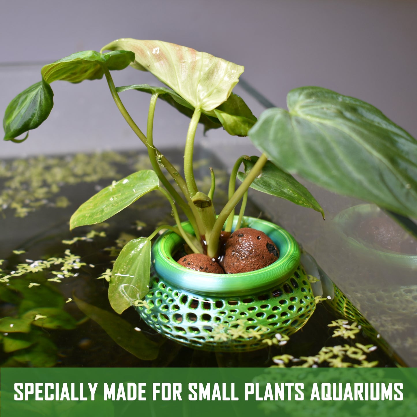 Aquarium Plant Pot Holder with Suction Cup