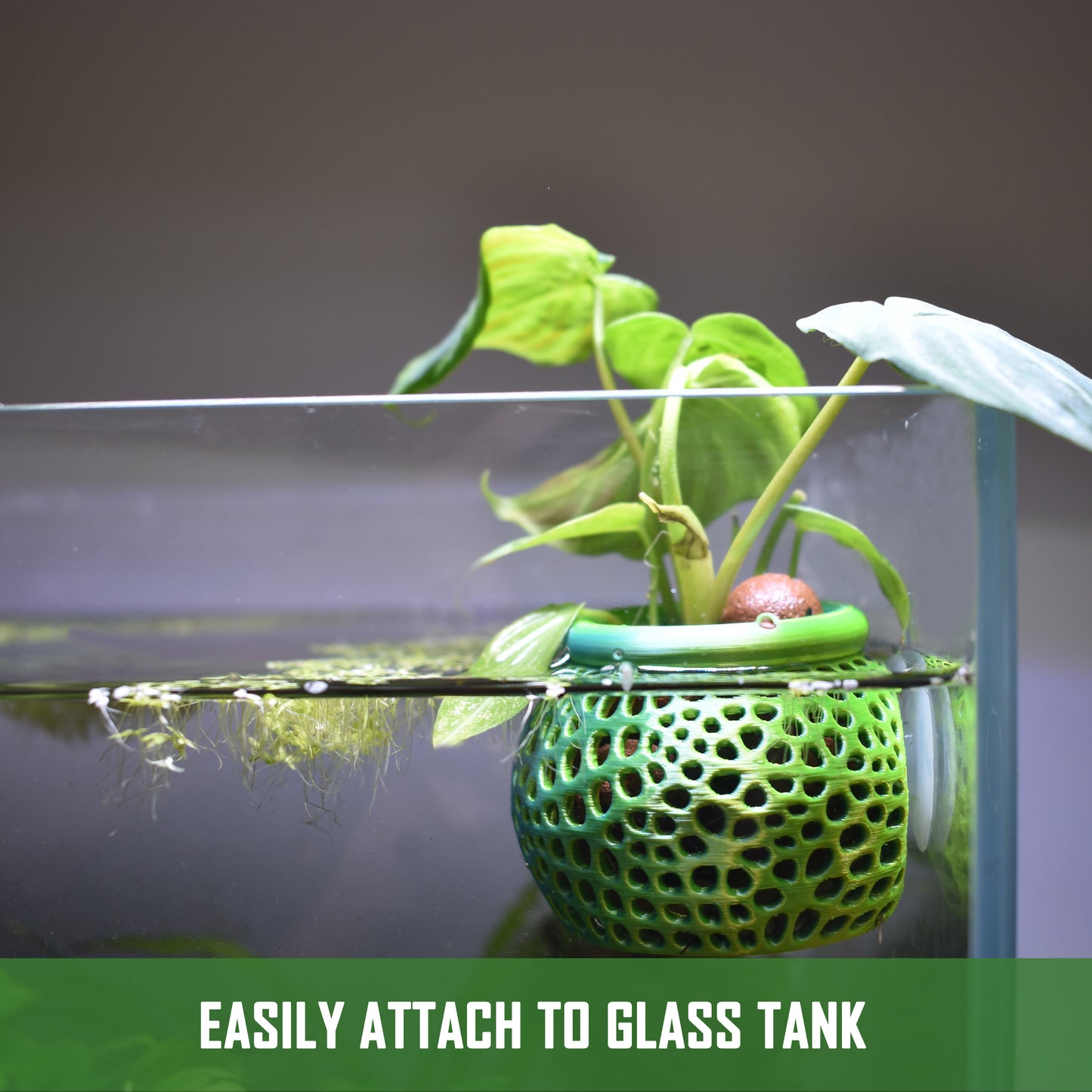 Aquarium Plant Pot Holder with Suction Cup
