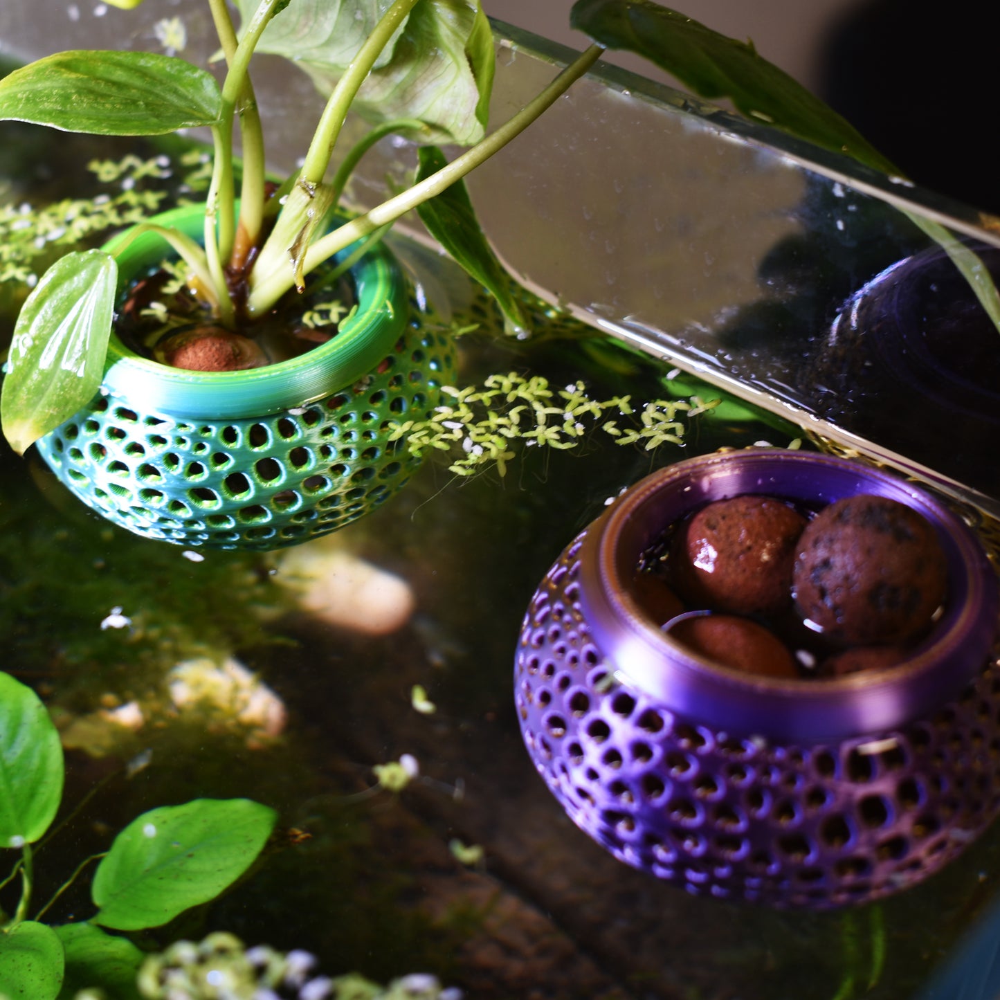Aquarium Plant Pot Holder with Suction Cup