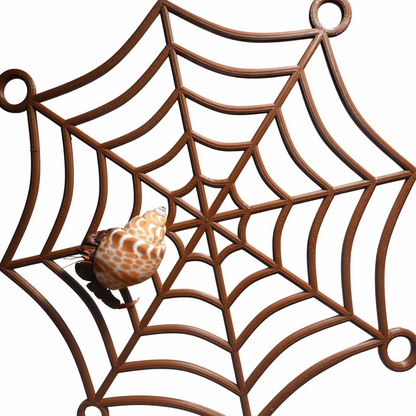 Hermit Crab Spider-Web Climbing Platform
