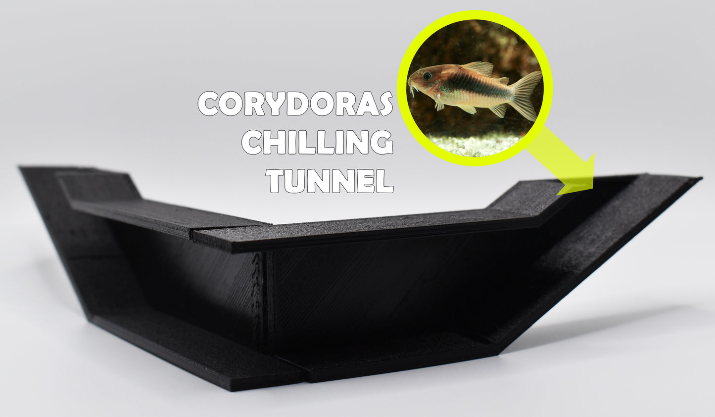 Cory Chilling Corner Underground Tunnel