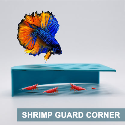 Corner Shrimp Guard To Prevent Predator Fish