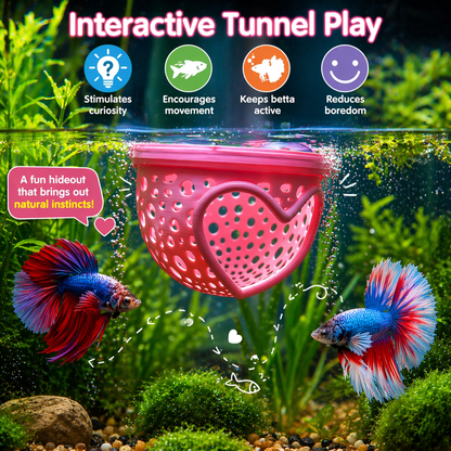 Aquarium Heart Floating Betta Fish Training