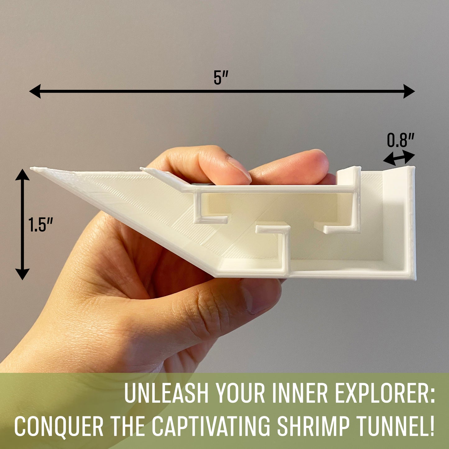 3D Printed Underground Shrimp Tunnel