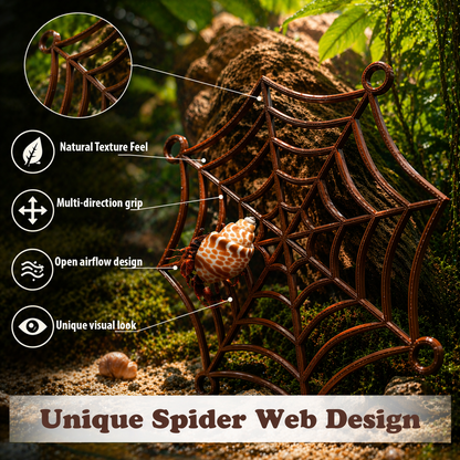 Hermit Crab Spider-Web Climbing Platform