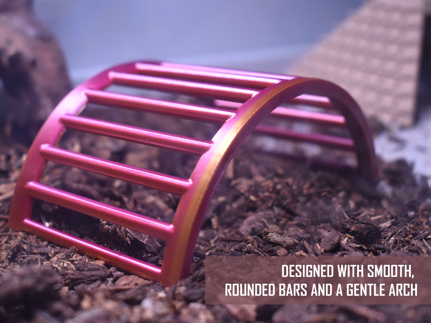 Hermit Crab Climbing Bridge