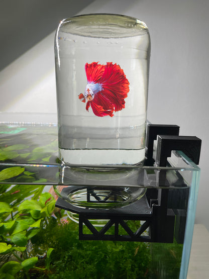 inverted-betta-holder