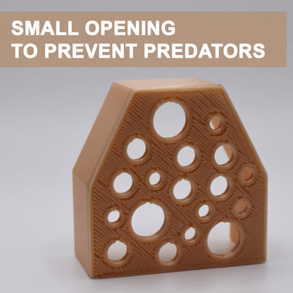 Mini Shrimp Guard To Prevent Predator Fish