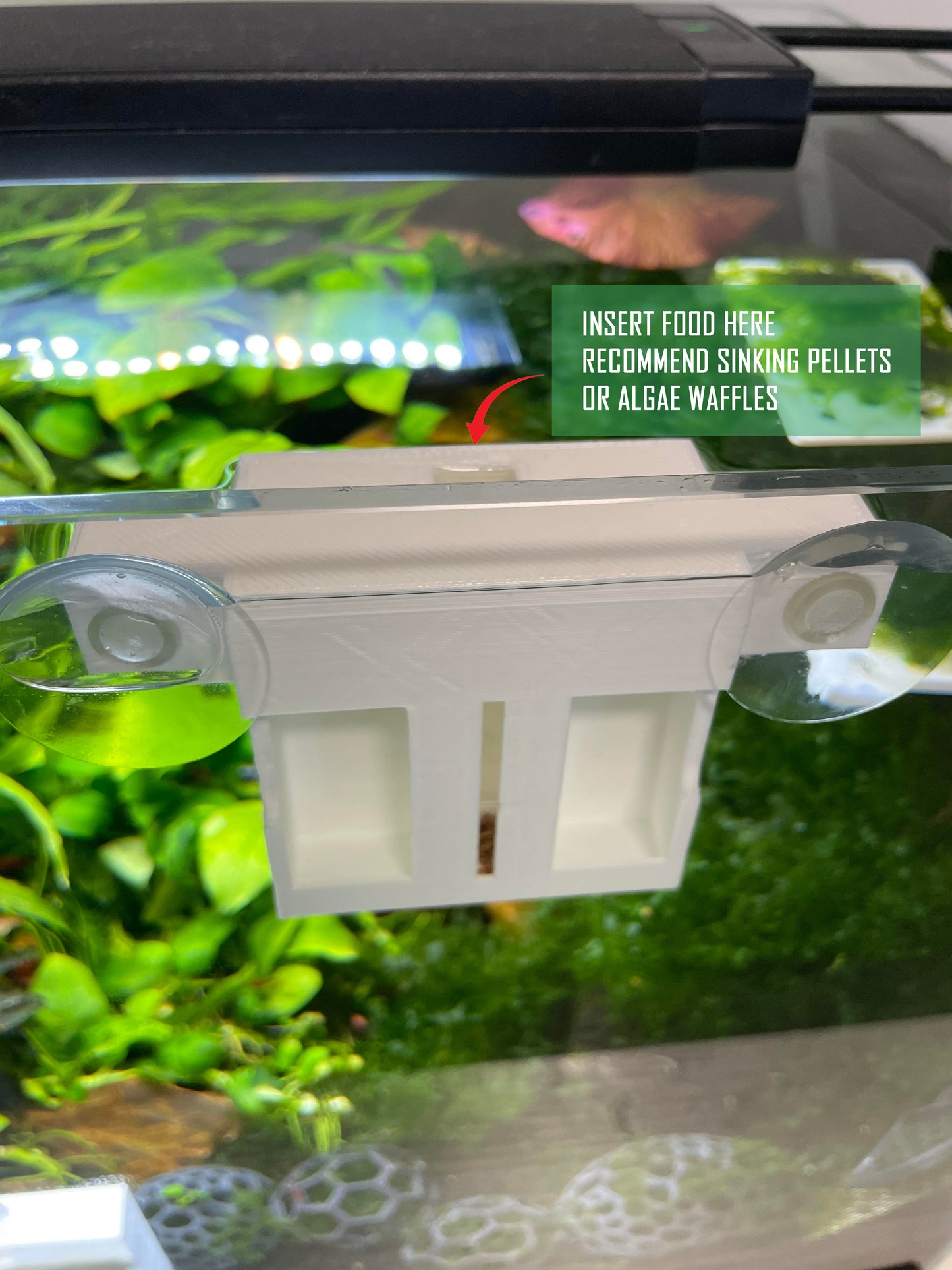 Snail Trap For Aquarium. Pest Snails Catcher.