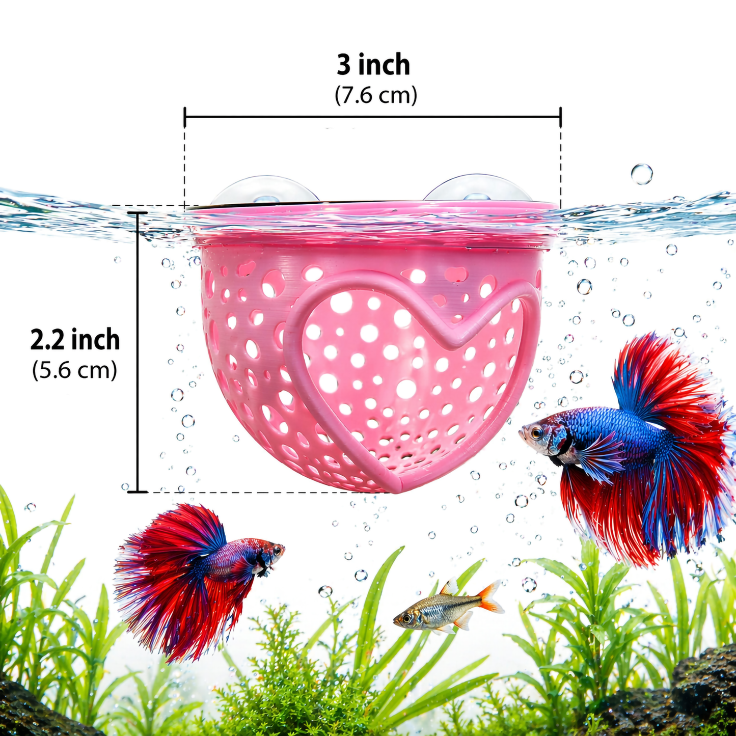 Aquarium Heart Floating Betta Fish Training