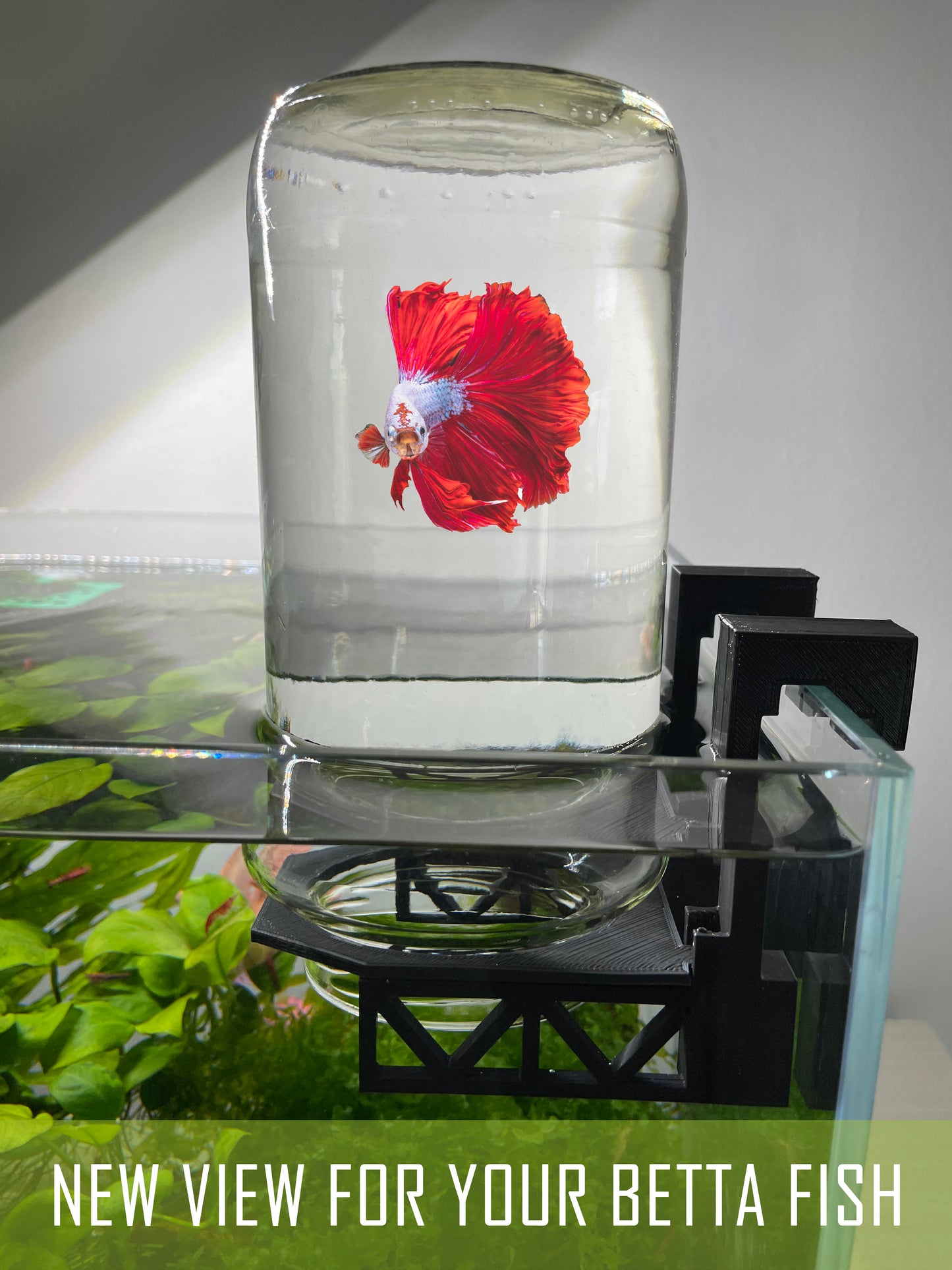 Inverted Betta Fish Tank Holder For Panoramic 360 View