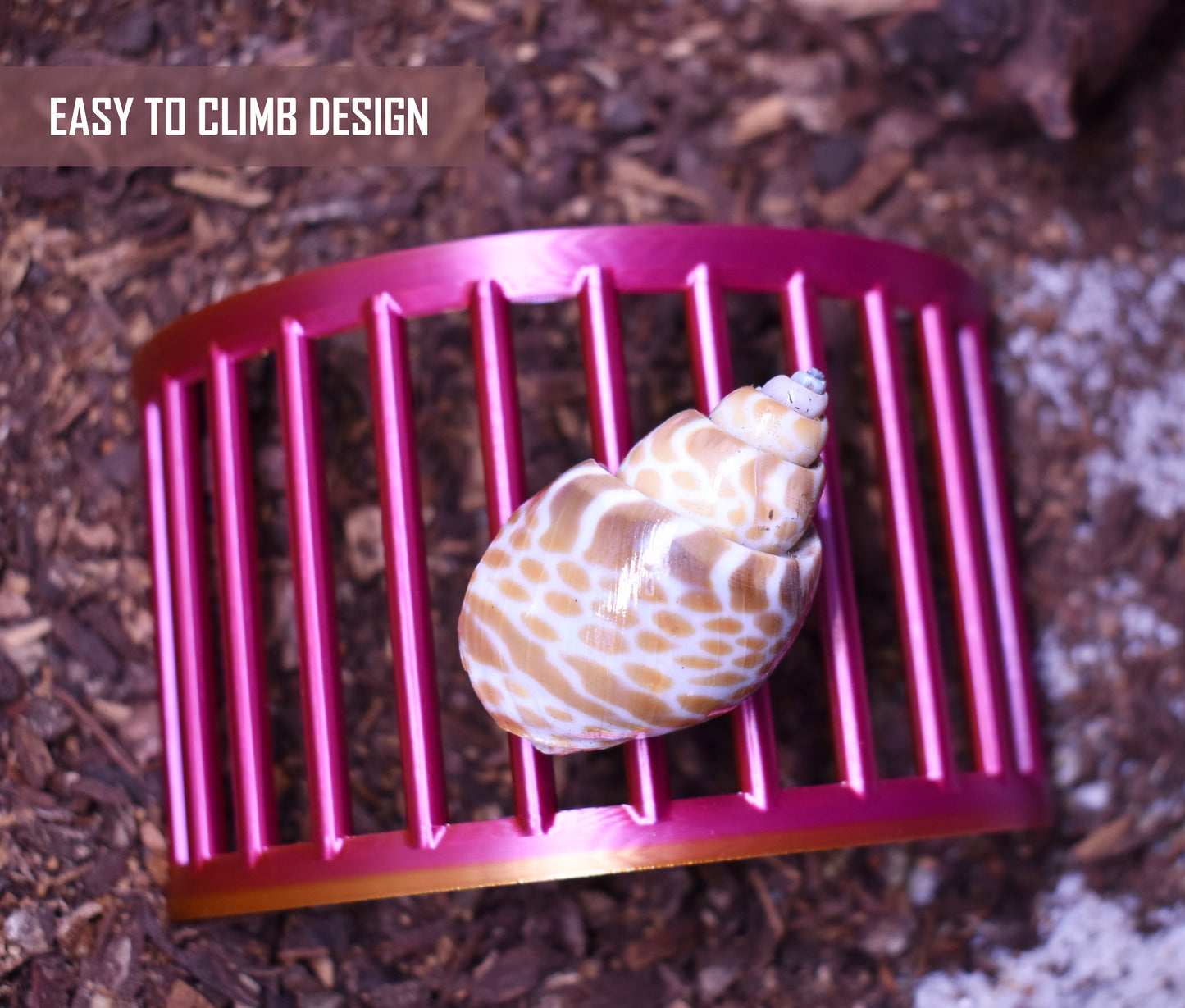 Hermit Crab Climbing Bridge