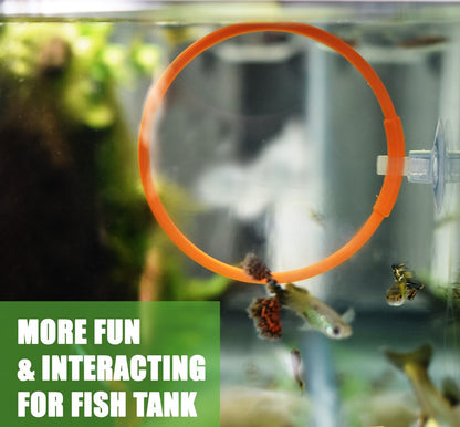 Olympic Ring For Betta Fish Trainning