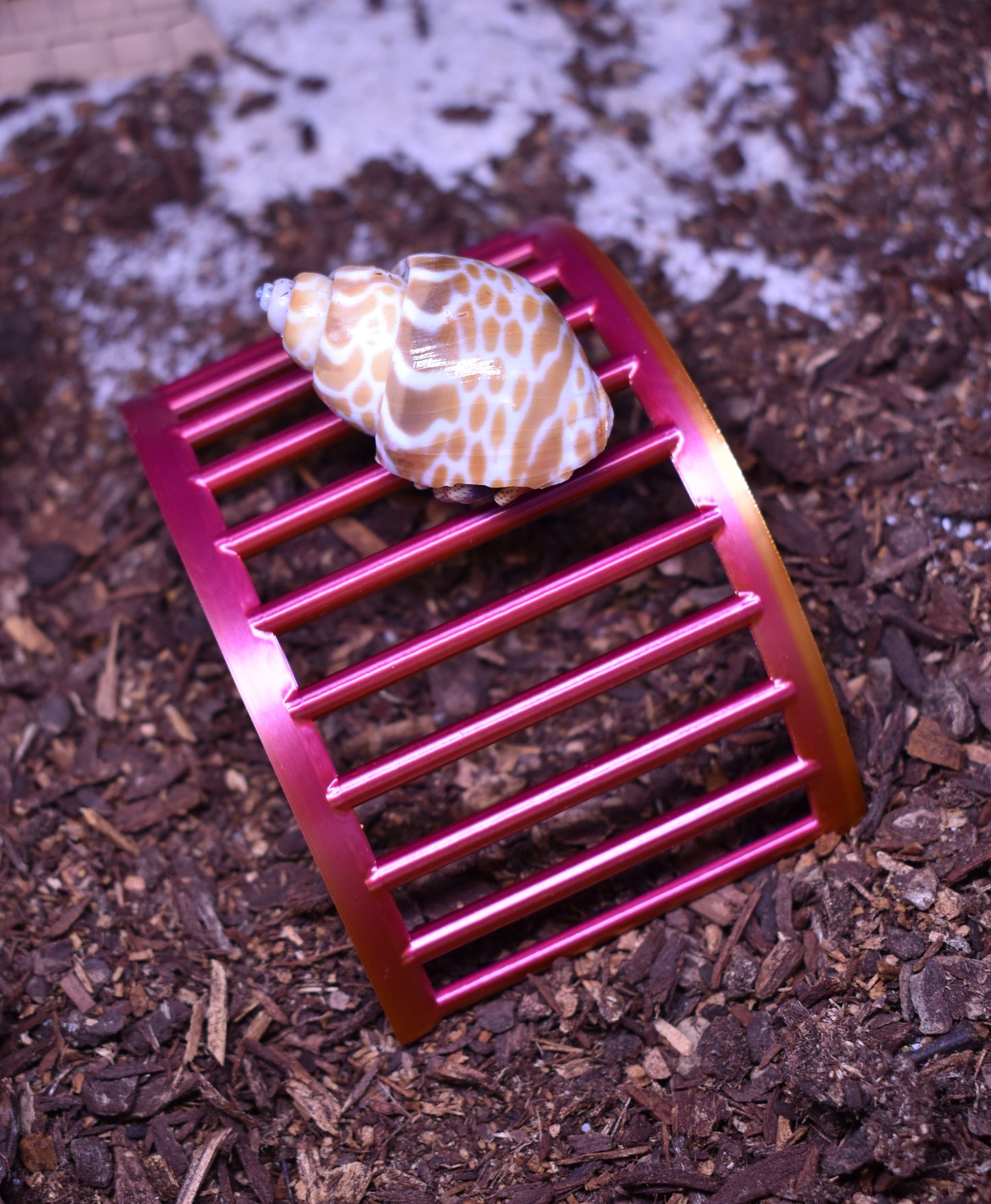 Hermit Crab Climbing Bridge