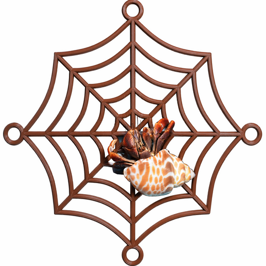 Hermit Crab Spider-Web Climbing Platform