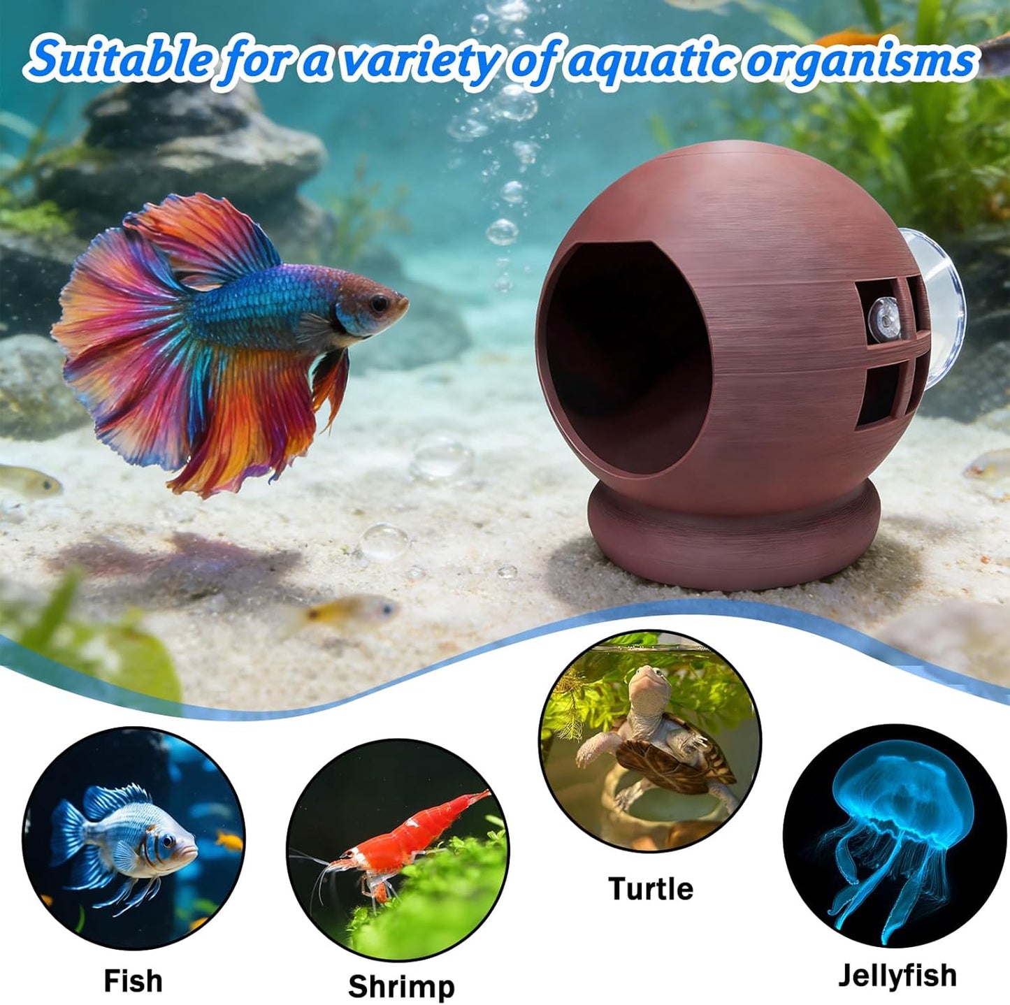 Floating Betta House