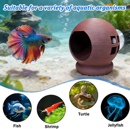 Floating Betta House