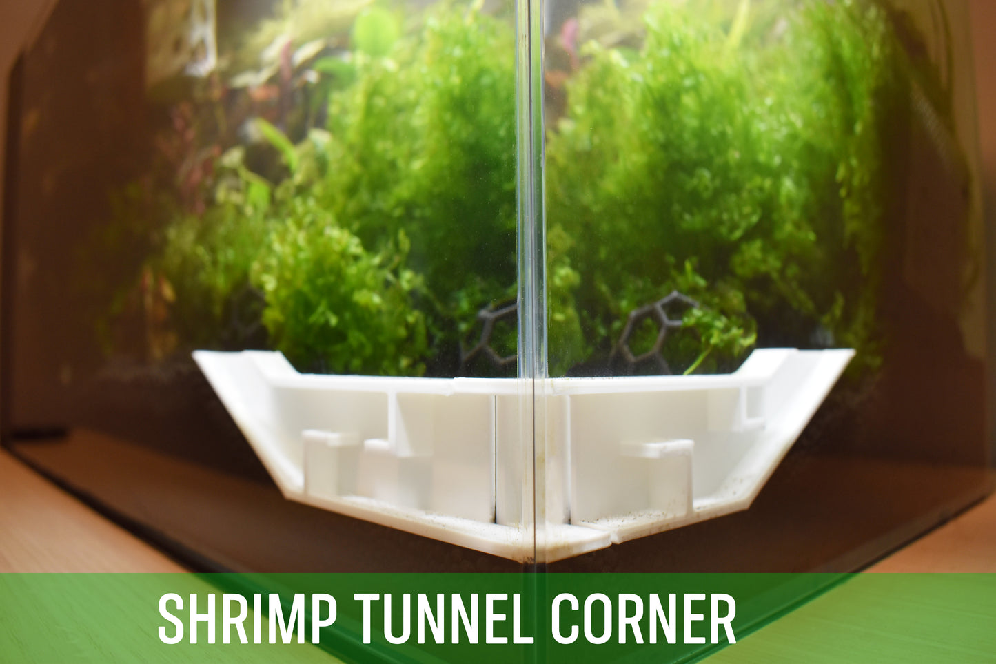 Shrimp Party Corner Underground Tunnel - Two Pieces Connection