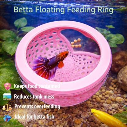Aquarium Heart Floating Betta Fish Training
