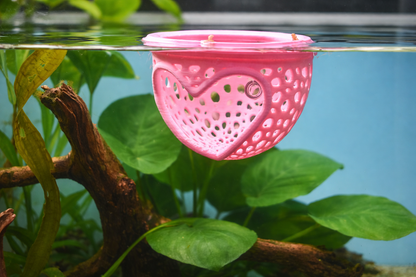 Aquarium Heart Floating Betta Fish Training