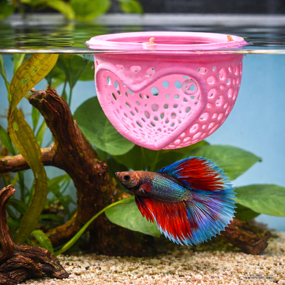 Aquarium Heart Floating Betta Fish Training