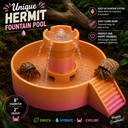Hermit Crab Fountain Pool with Built-In Climbing Ramp