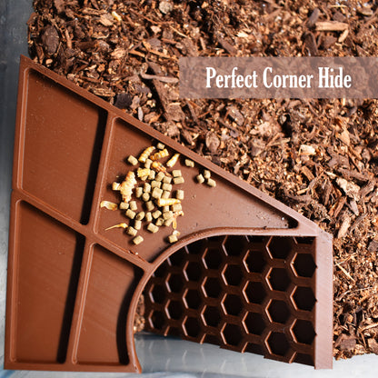 Underground Hermit Crab Tunnel