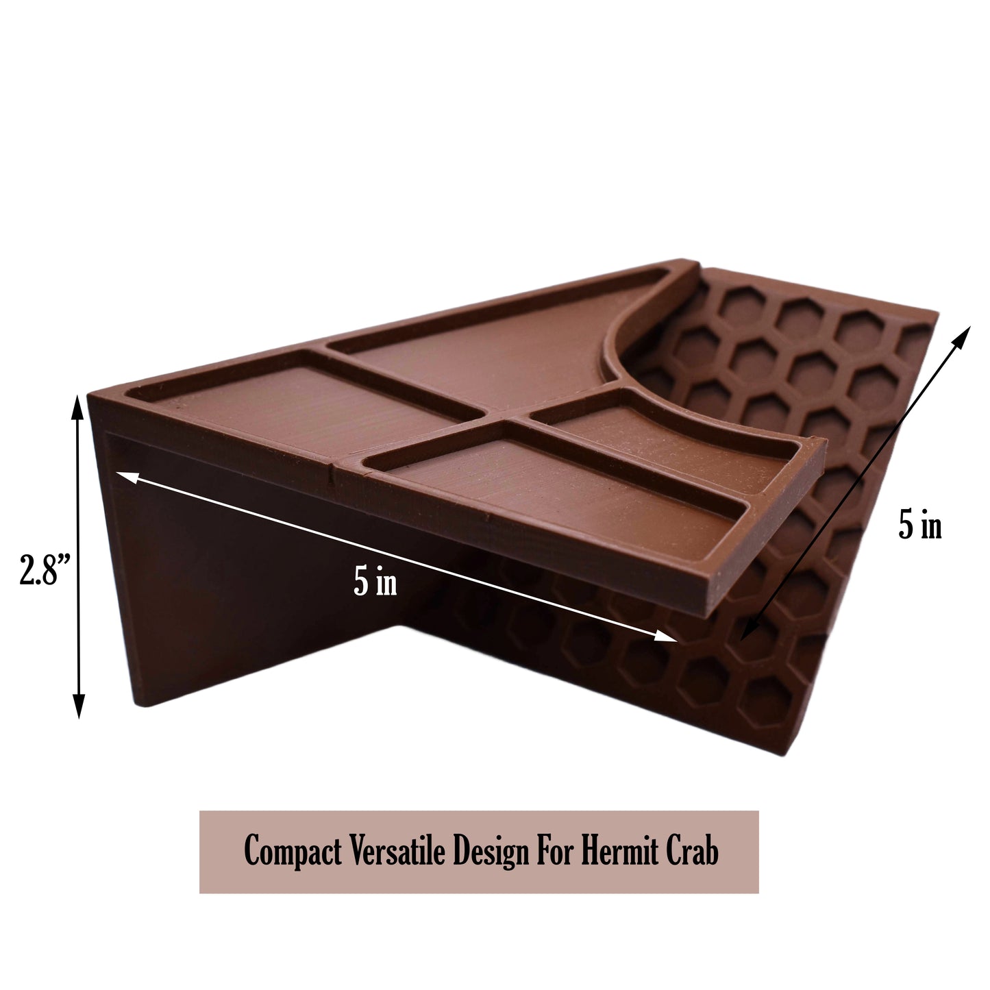 Underground Hermit Crab Tunnel