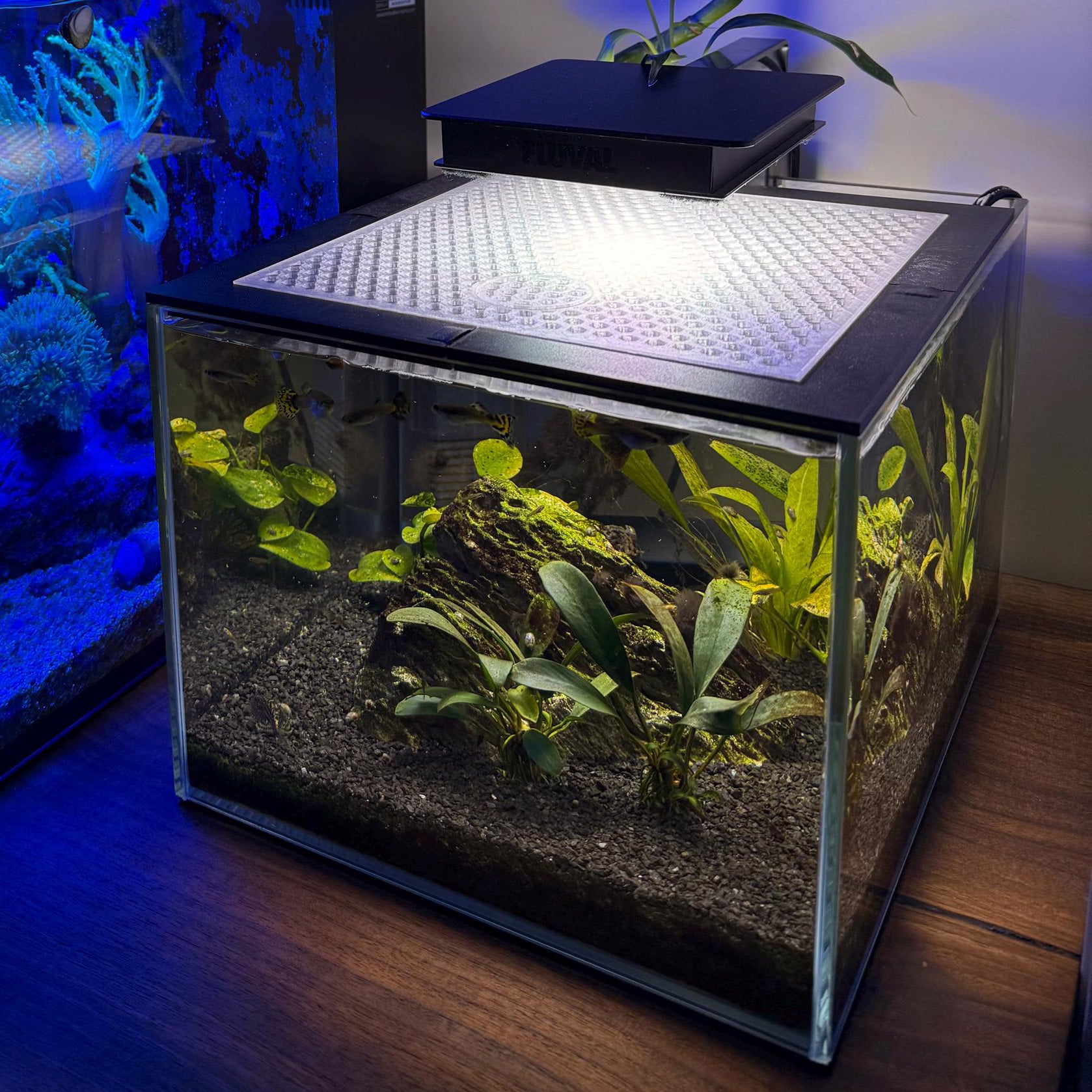 Custom Lid For Nano Fish Tank