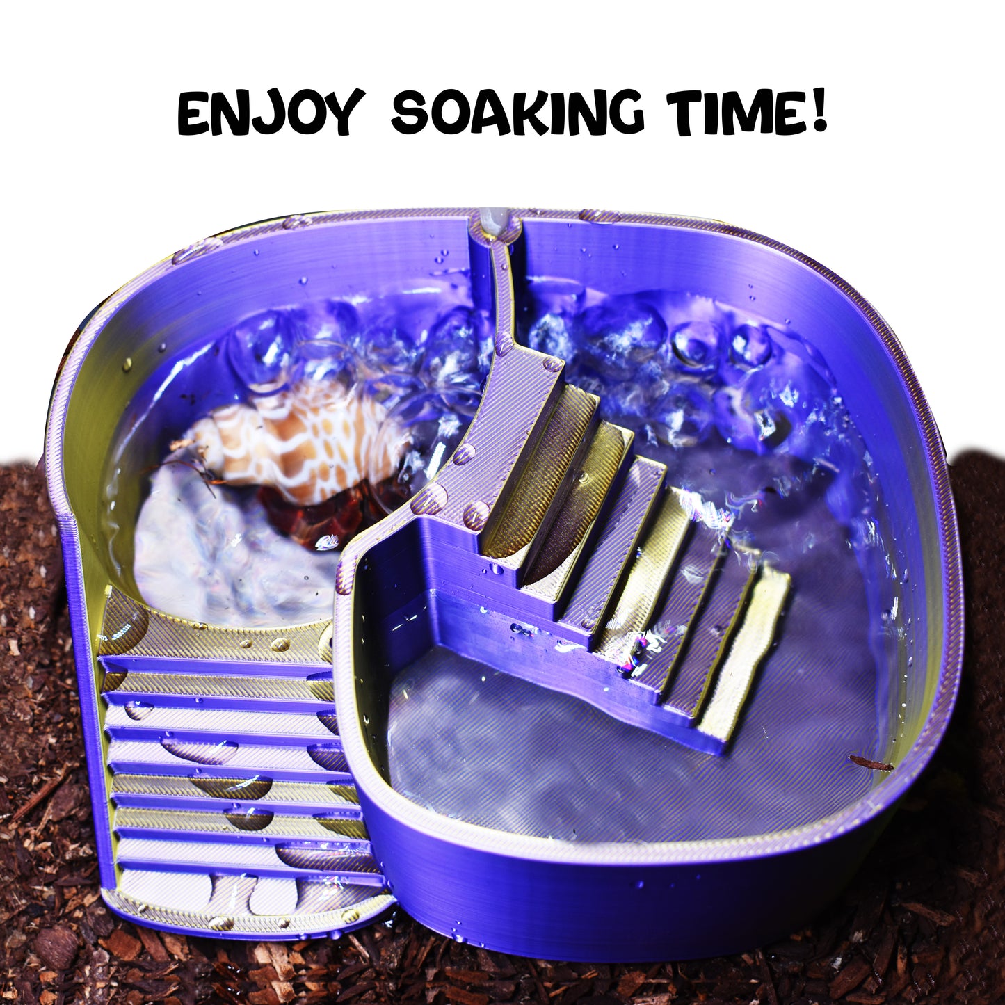 Dual Zone Bubbler Hermit Crab Swimming Pool