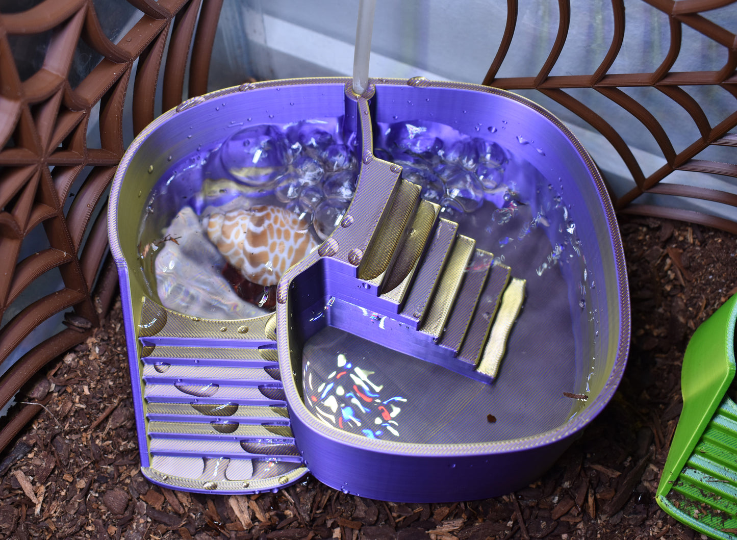 Dual Zone Bubbler Hermit Crab Swimming Pool