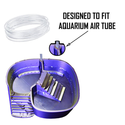 Dual Zone Bubbler Hermit Crab Swimming Pool