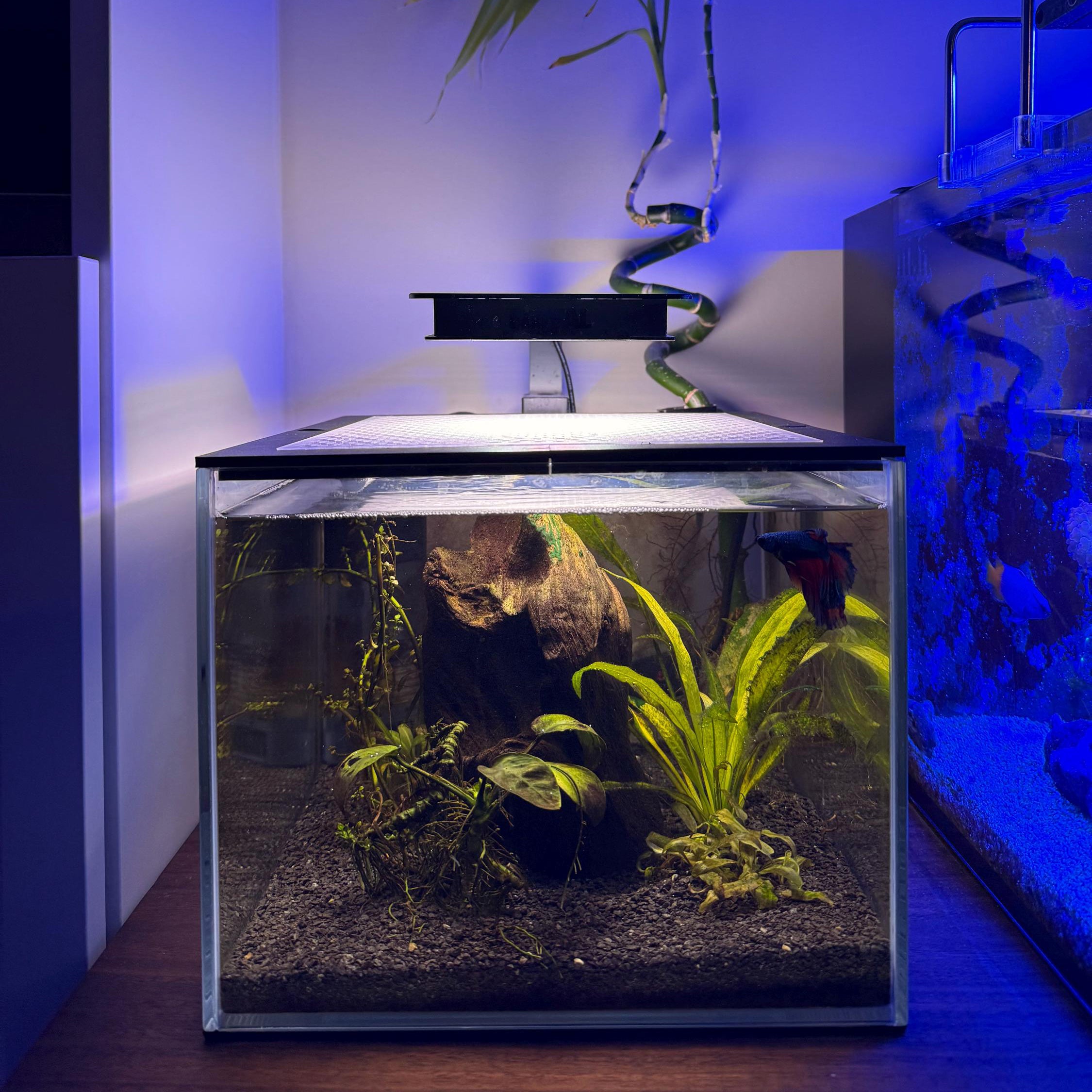 Custom Lid For Nano Fish Tank