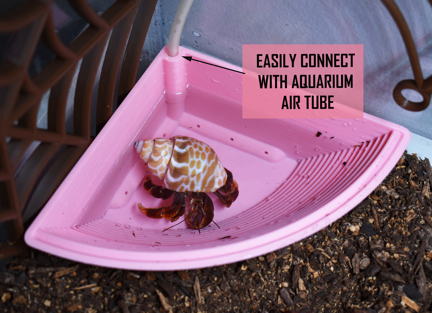 Hermit Crab Corner Bubbler Bathtub