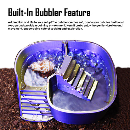 Dual Zone Bubbler Hermit Crab Swimming Pool