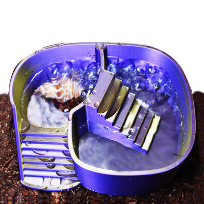 Dual Zone Bubbler Hermit Crab Swimming Pool