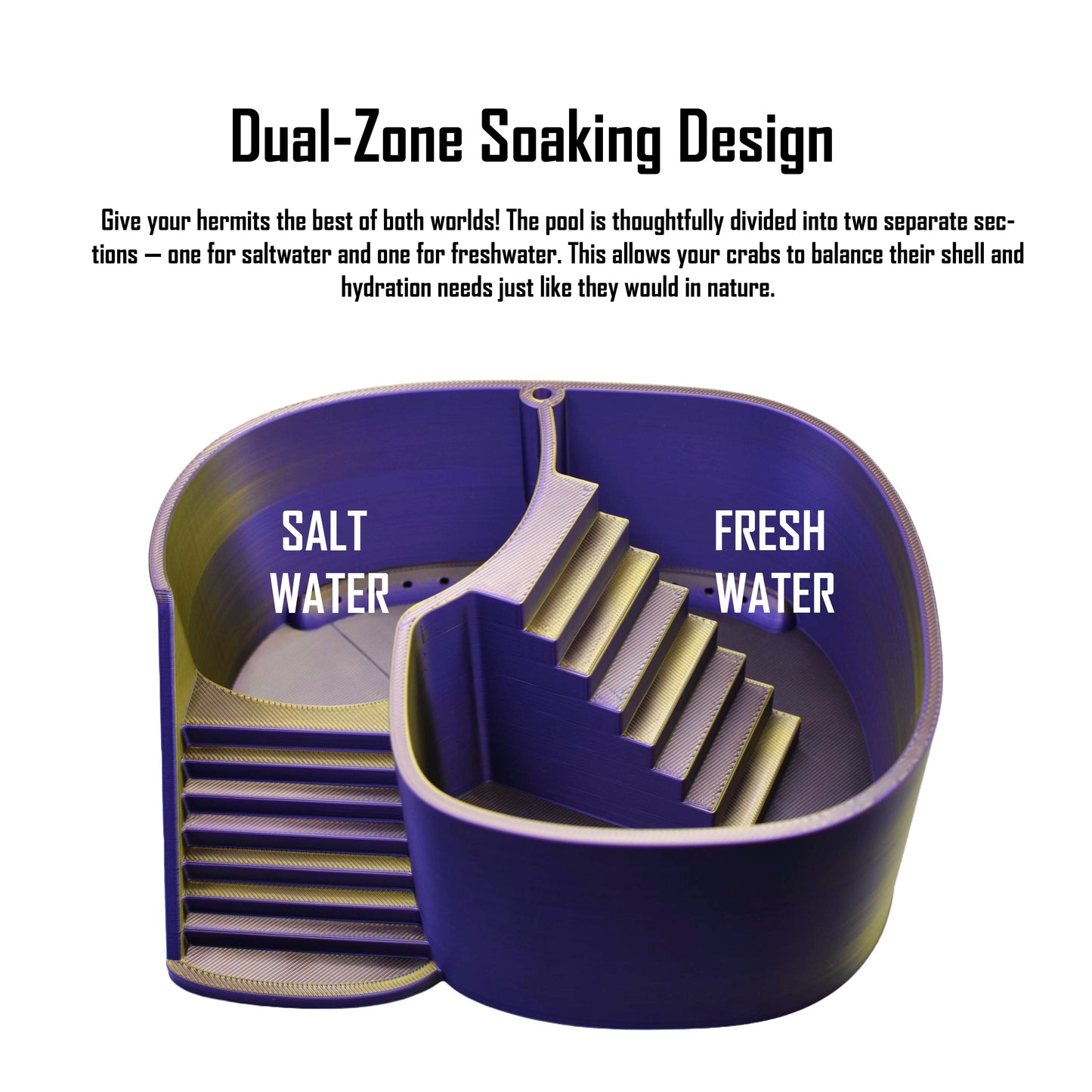 Dual Zone Bubbler Hermit Crab Swimming Pool