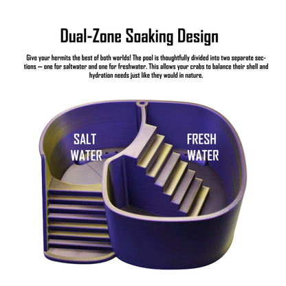 Dual Zone Bubbler Hermit Crab Swimming Pool