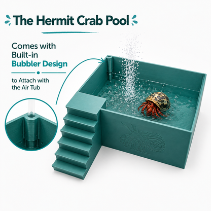 Large Hermit Crab Bubbler Pool