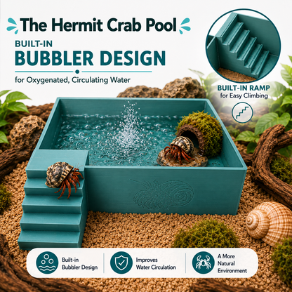 Large Hermit Crab Bubbler Pool