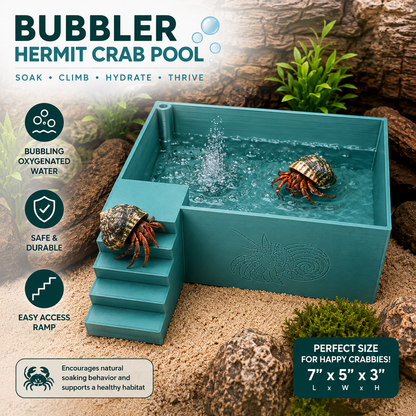 Large Hermit Crab Bubbler Pool