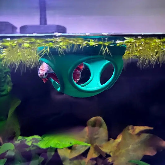 Floating Betta Tube