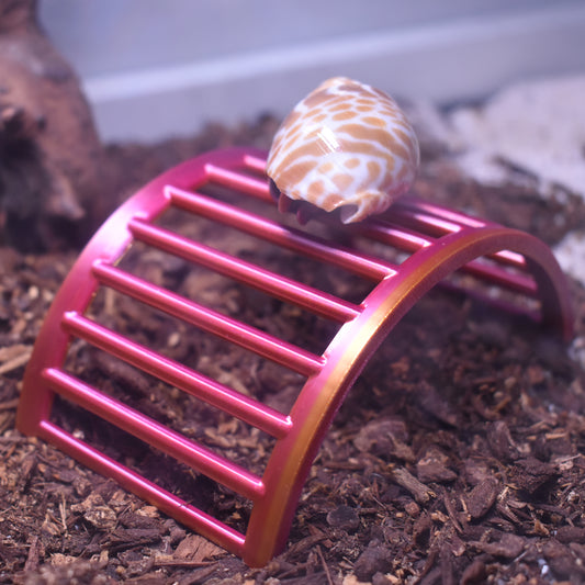 Hermit Crab Climbing Bridge