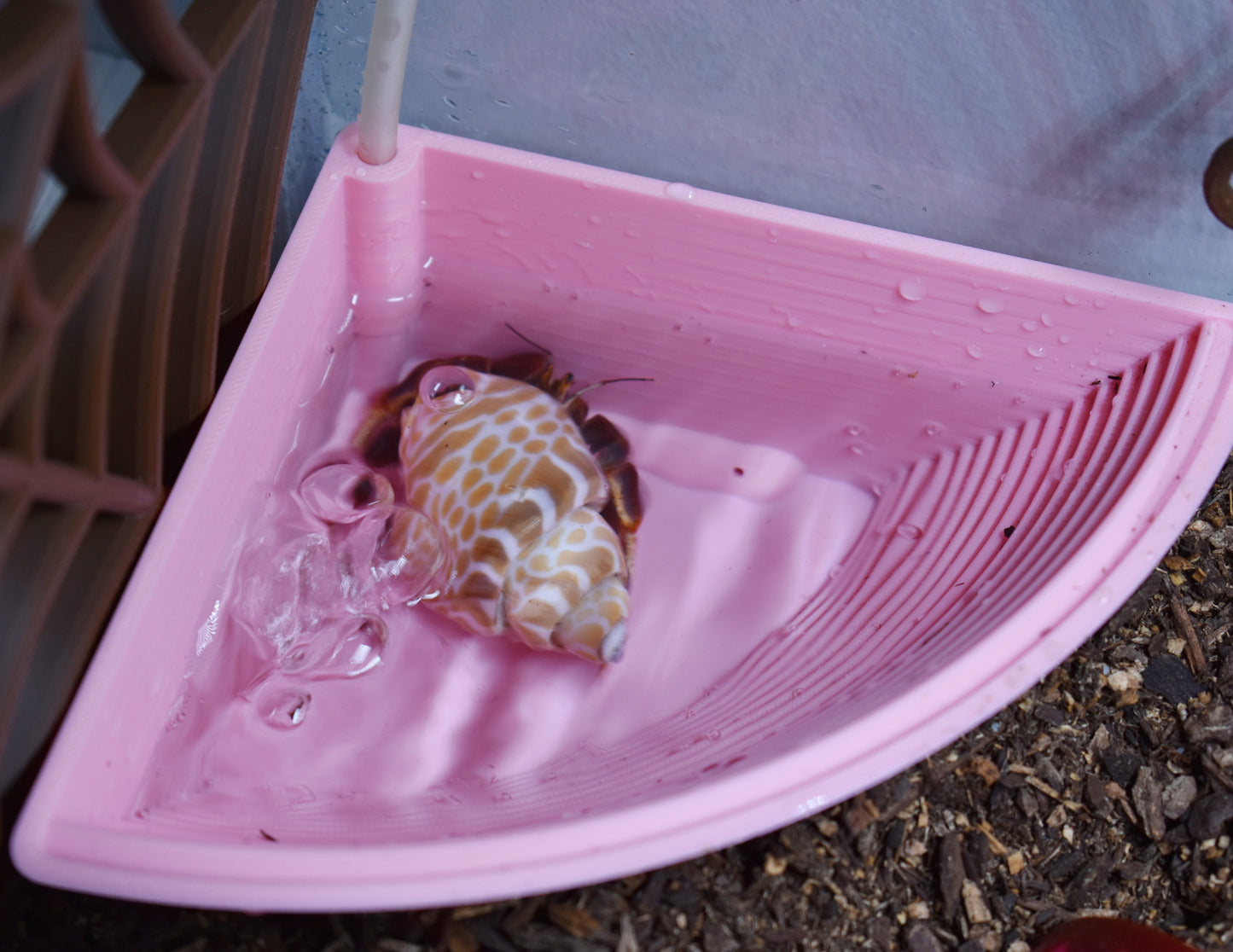 Hermit Crab Corner Bubbler Bathtub