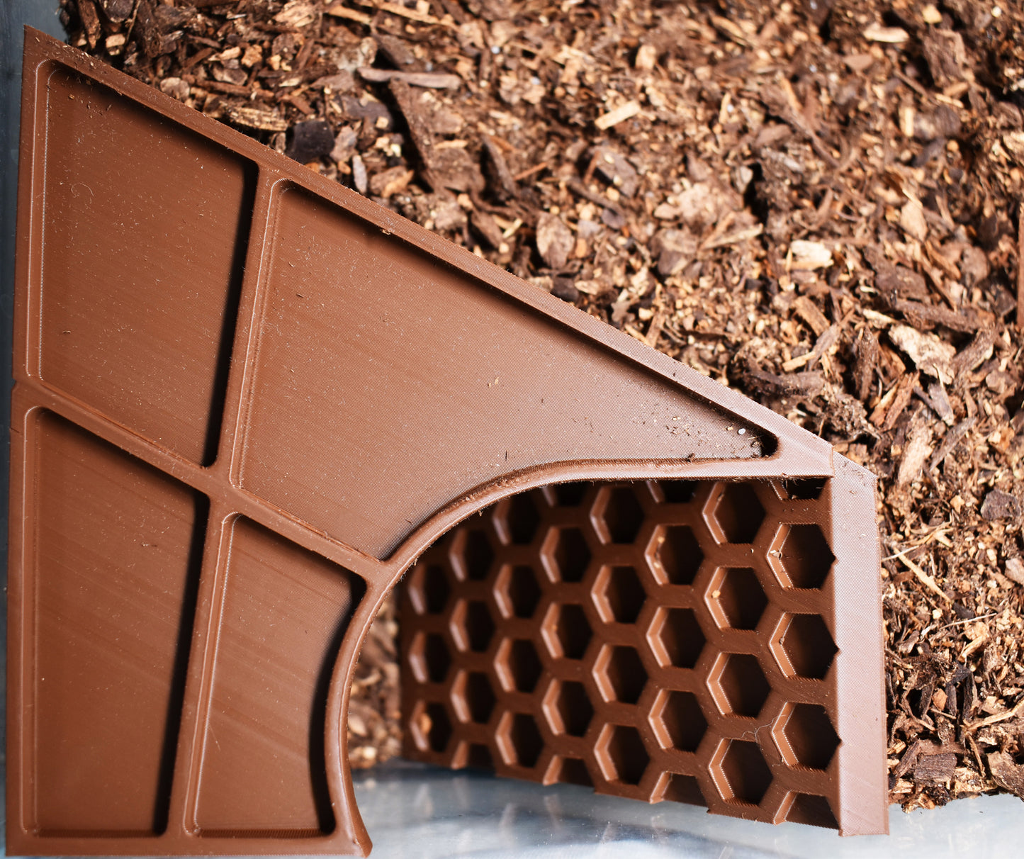 Underground Hermit Crab Tunnel